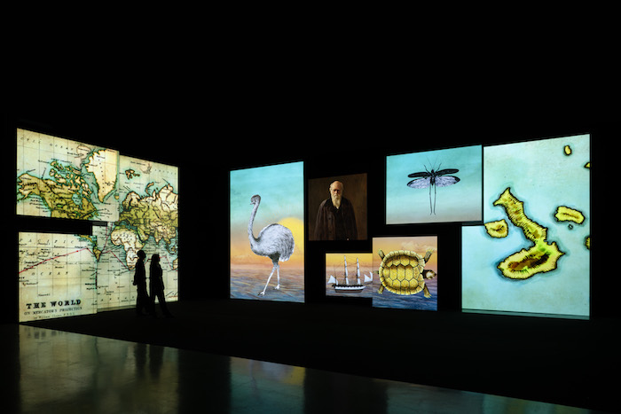 stories mediacity
